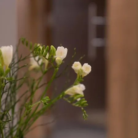 Апартаменты Panorama Moesern *