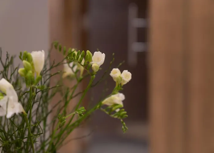 Apartman Panorama Moesern *