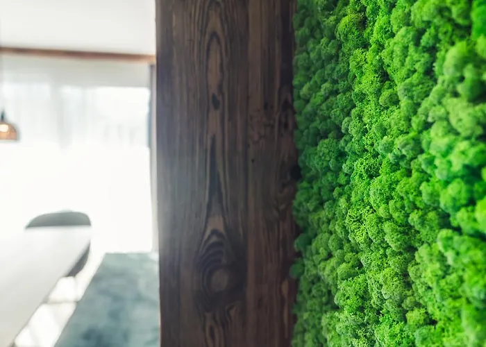 Panorama Moesern דירה זיפלד אין טירול