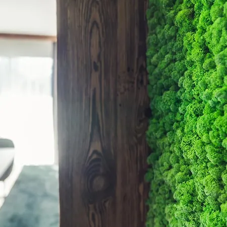 Panorama Moesern Apartment Seefeld in Tirol